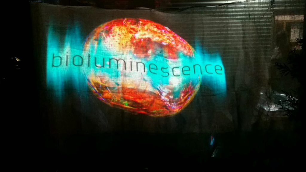 Bioluminescence_title