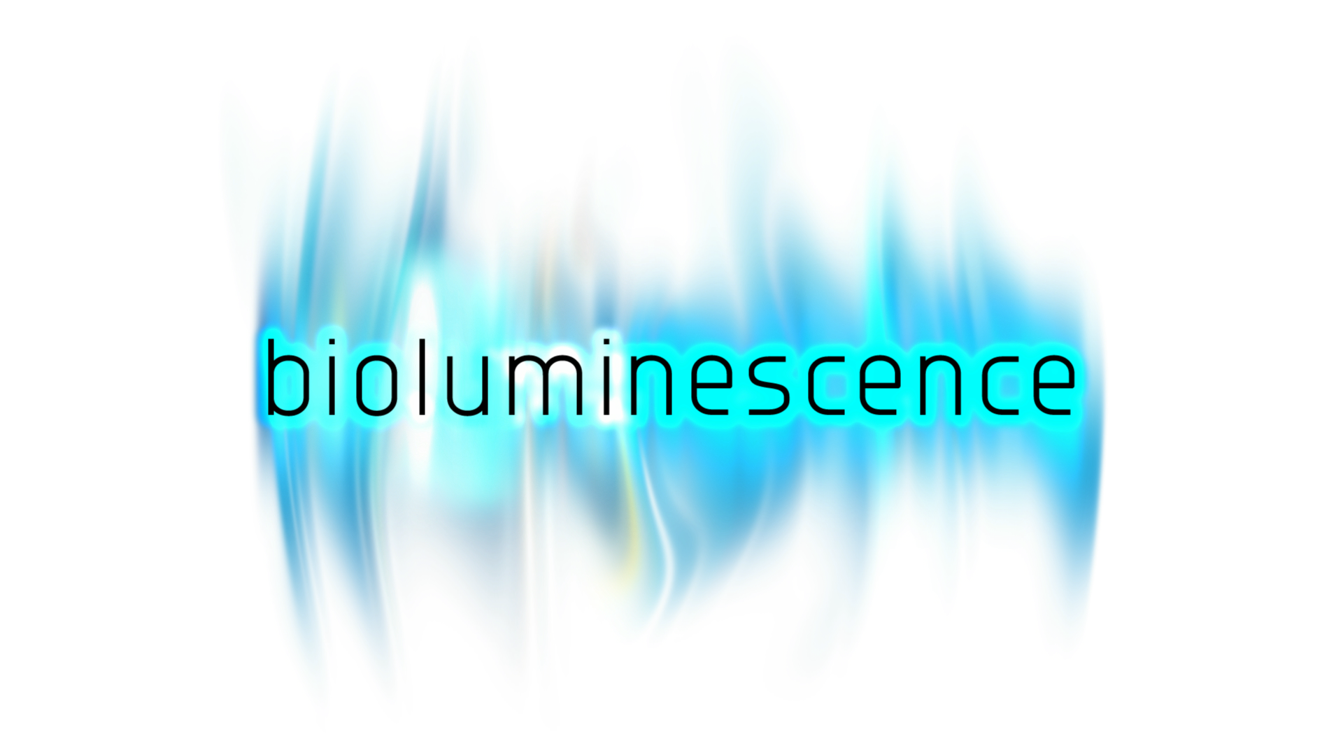 Bioluminescence