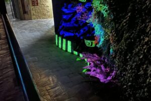 IMG_3936