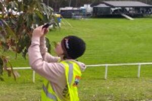 image000005 image000005