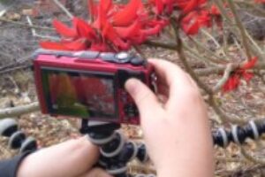 image000006 image000006