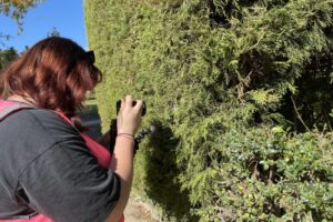 0103_IMG_6045 0103_IMG_6045