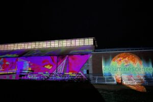 07_IMG_6599 07_IMG_6599