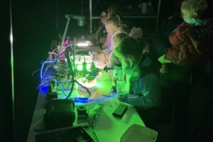 17_IMG_6632 17_IMG_6632