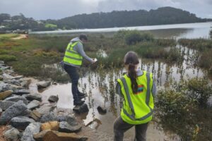 20250430_115935 20250430_115935