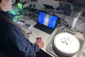 IMG_6536 2 IMG_6536 2