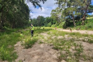 image000007 image000007