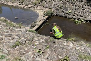 03_IMG_7103 03_IMG_7103