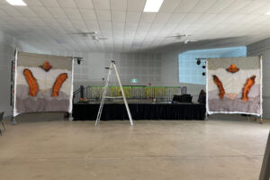 IMG_7737 IMG_7737